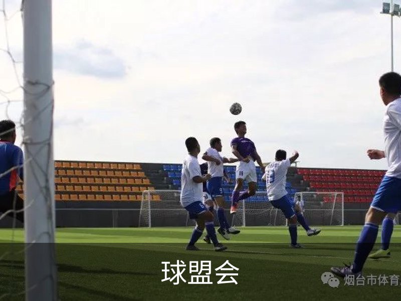 了解球盟会